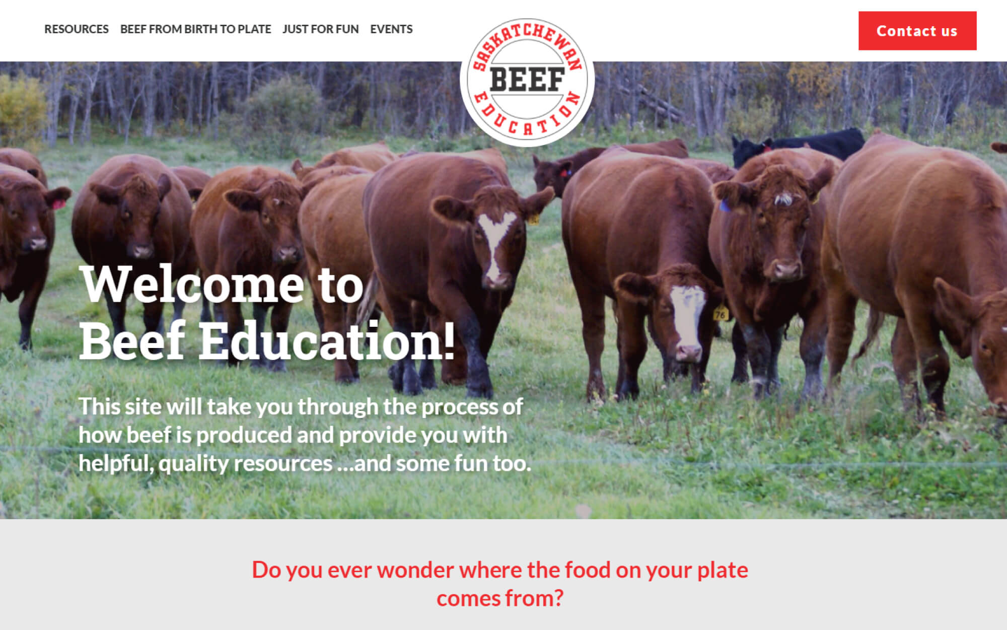 Saskatchewan Beef Education's custom Squarespace Website - Homepage