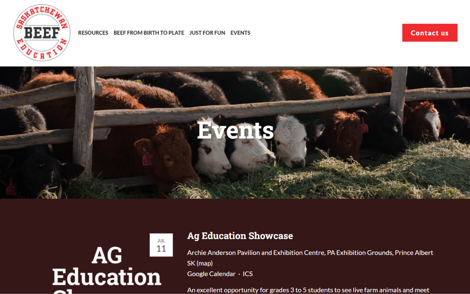 Saskatchewan Beef Education Squarespace website
